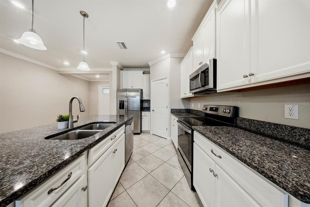 18836 NOBLE CASPIAN DRIVE, LUTZ, FL 33558 — zdjęcie 3