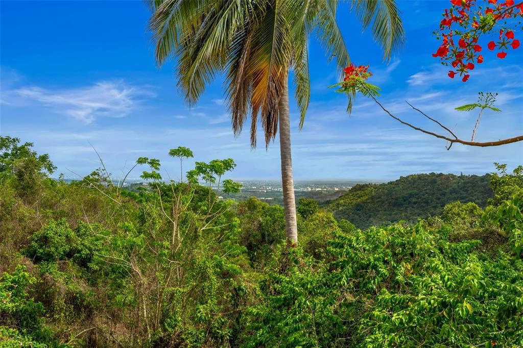 Carr 853 Km. Hm 6.2 HIDALGO ST., CAROLINA, PR 00987 — zdjęcie 2