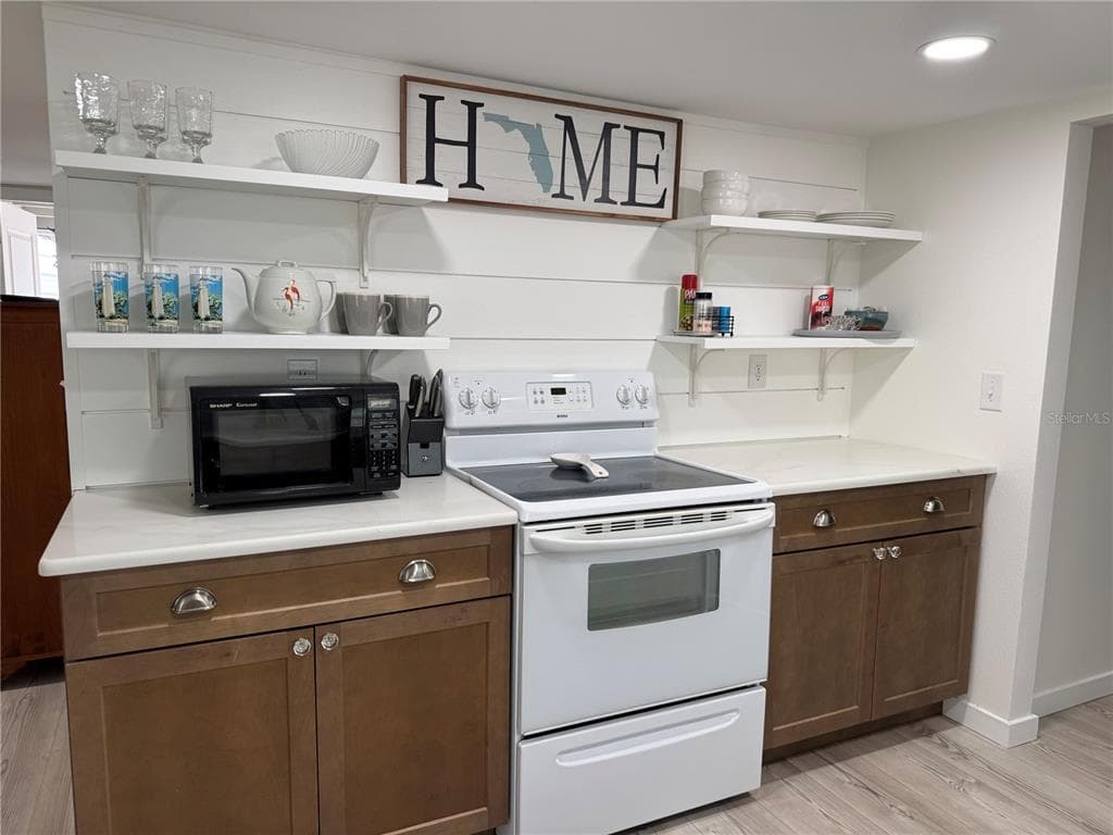 1357 LAKESHORE DRIVE, MOUNT DORA, FL 32757 — zdjęcie 4