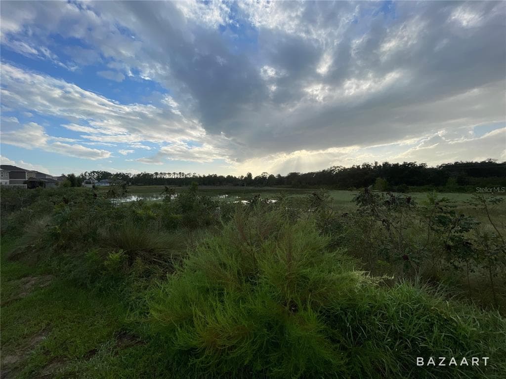 1437 SAWGRASS HAMMOCK LANE, DAVENPORT, FL 33837 — zdjęcie 5