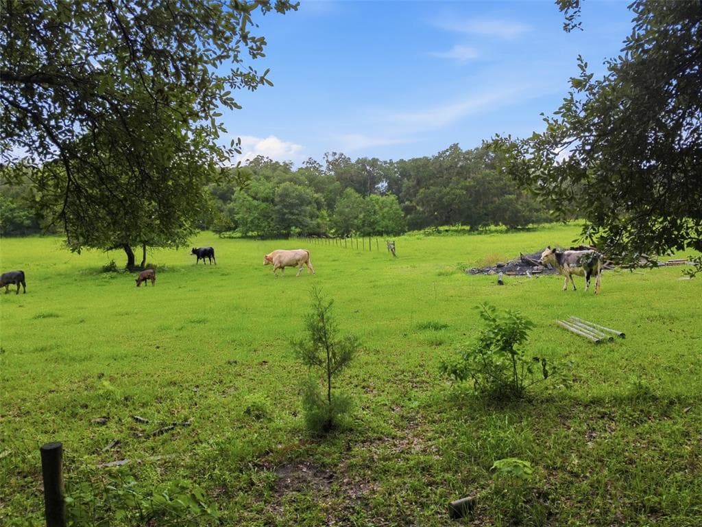 9299 WEATHERLY ROAD, BROOKSVILLE, FL 34601 — zdjęcie 3