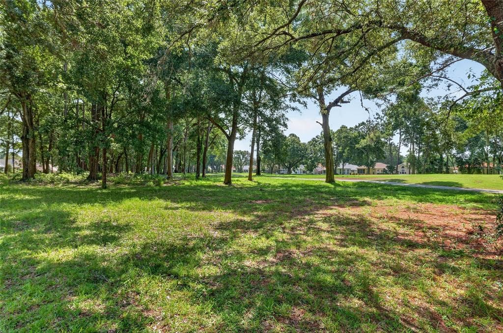 11093 SW 69TH CIRCLE, OCALA, FL 34476 — zdjęcie 5