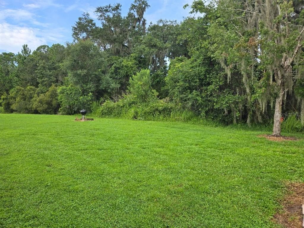 2633 WALDEN WOODS DRIVE, PLANT CITY, FL 33566 — zdjęcie 4