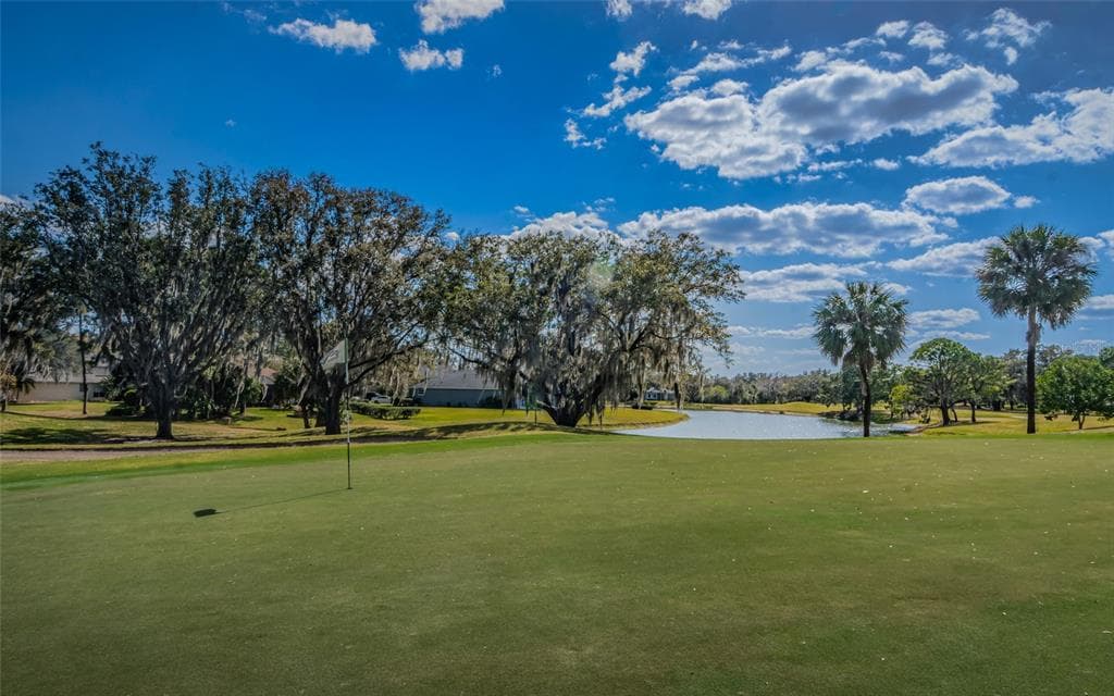 3254 STONEBRIDGE TRAIL, VALRICO, FL 33596 — zdjęcie 4