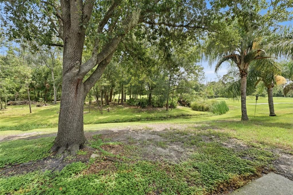 5852 AUTUMN SHIRE, ZEPHYRHILLS, FL 33541 — zdjęcie 4