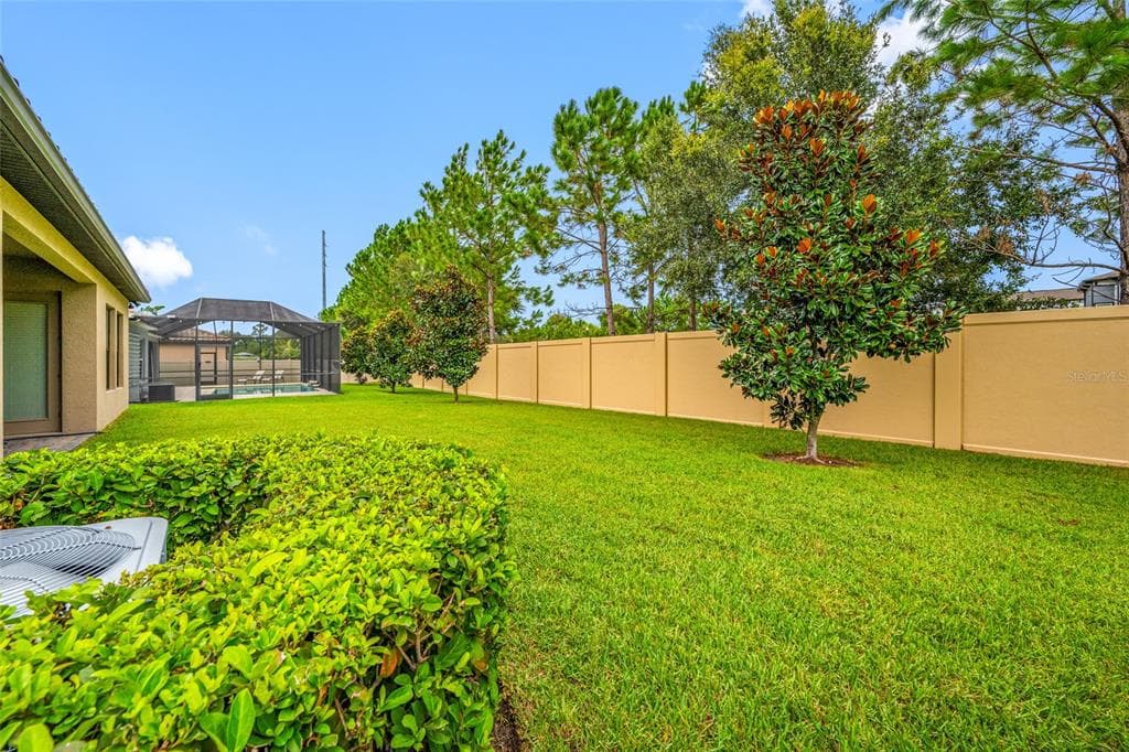 18308 LEAFMORE STREET, LUTZ, FL 33548 — zdjęcie 5