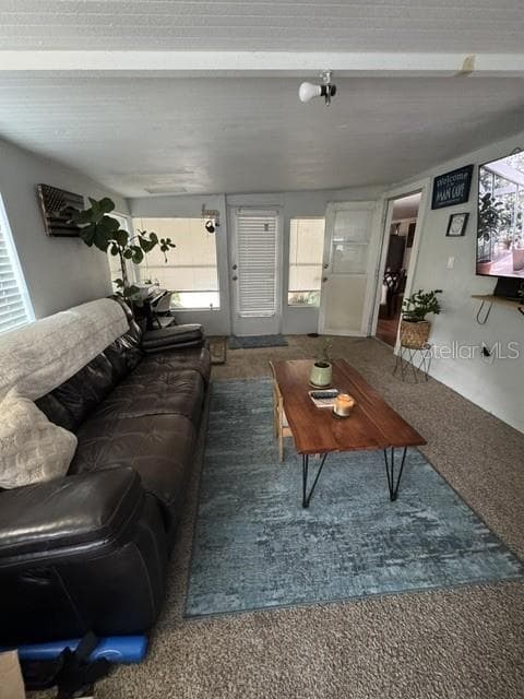 8304 EVERGREEN AVENUE, BROOKSVILLE, FL 34613 — zdjęcie 5