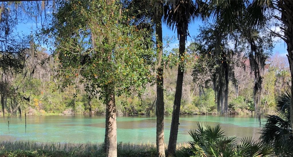 9251 SW 192ND COURT, DUNNELLON, FL 34432 — zdjęcie 3
