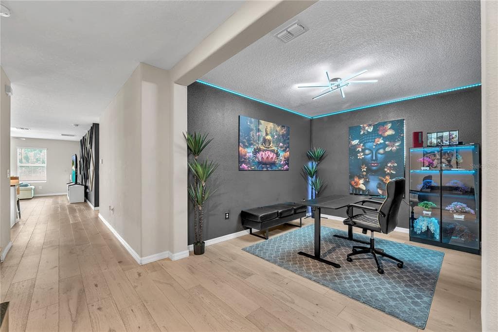 1911 FAN ALOE WAY, RUSKIN, FL 33570 — zdjęcie 4