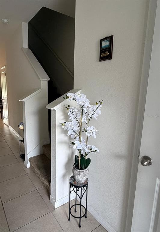 3244 PLEASANT WILLOW COURT, BRANDON, FL 33511 — zdjęcie 3