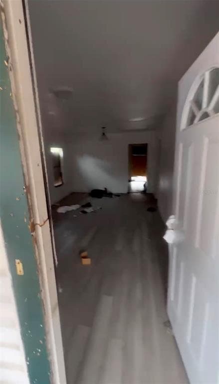 2516 E MAGNOLIA STREET, LAKELAND, FL 33801 — zdjęcie 4