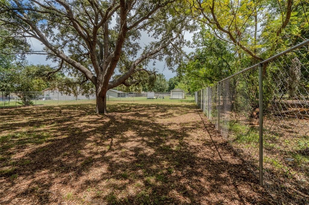 1049 BIRCH BOULEVARD, TAVARES, FL 32778 — zdjęcie 4