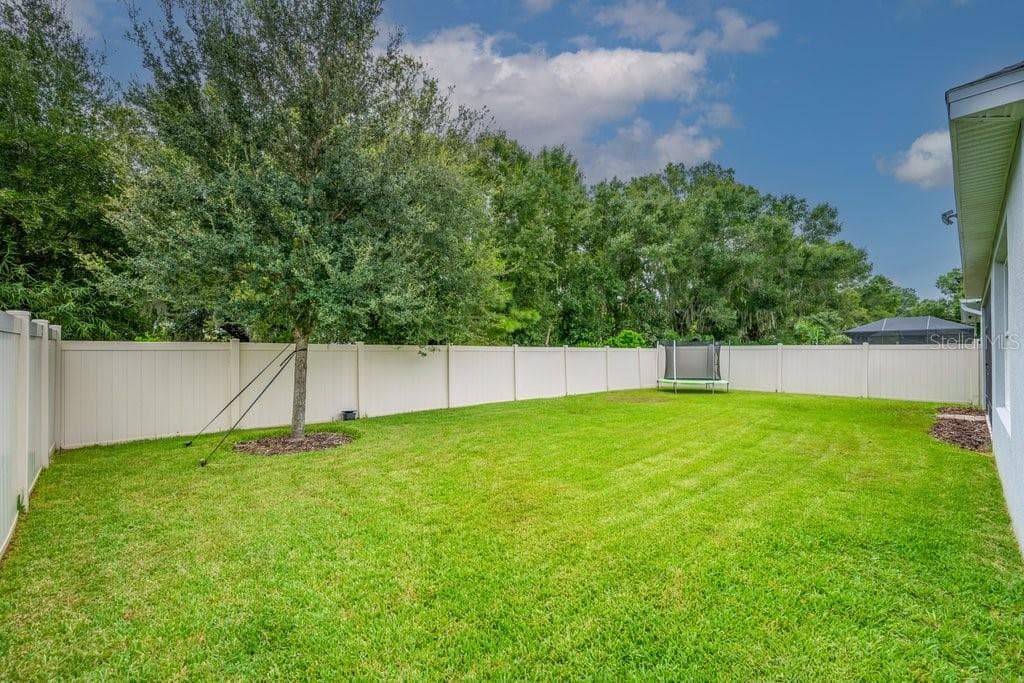 17651 BRIGHT WHEAT DRIVE, LITHIA, FL 33547 — zdjęcie 3