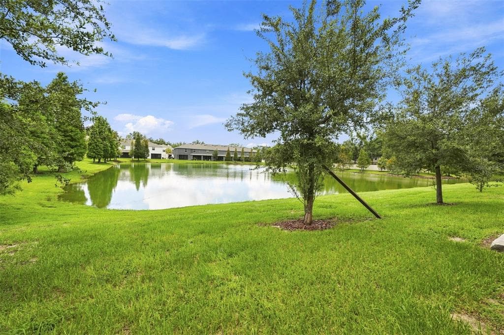 3144 PLEASANT WILLOW COURT, BRANDON, FL 33511 — zdjęcie 4