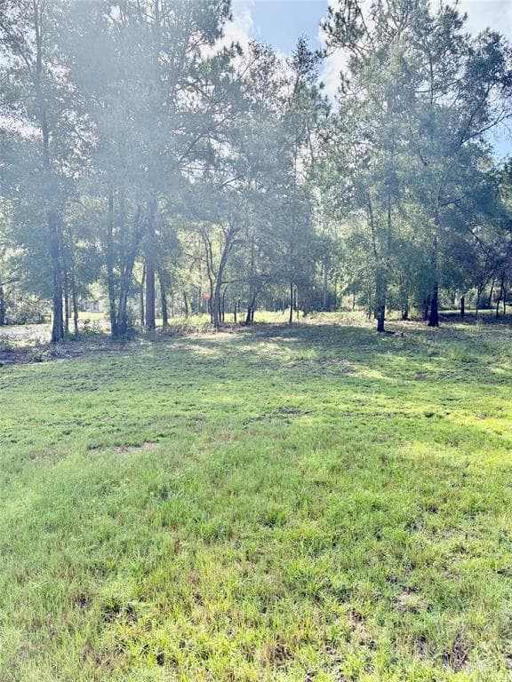 8680 SW 209TH COURT, DUNNELLON, FL 34431 — zdjęcie 3