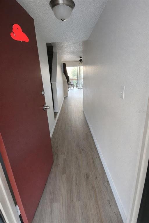 7516 NEEDLE LEAF PLACE # 43, TAMPA, FL 33617 — zdjęcie 2