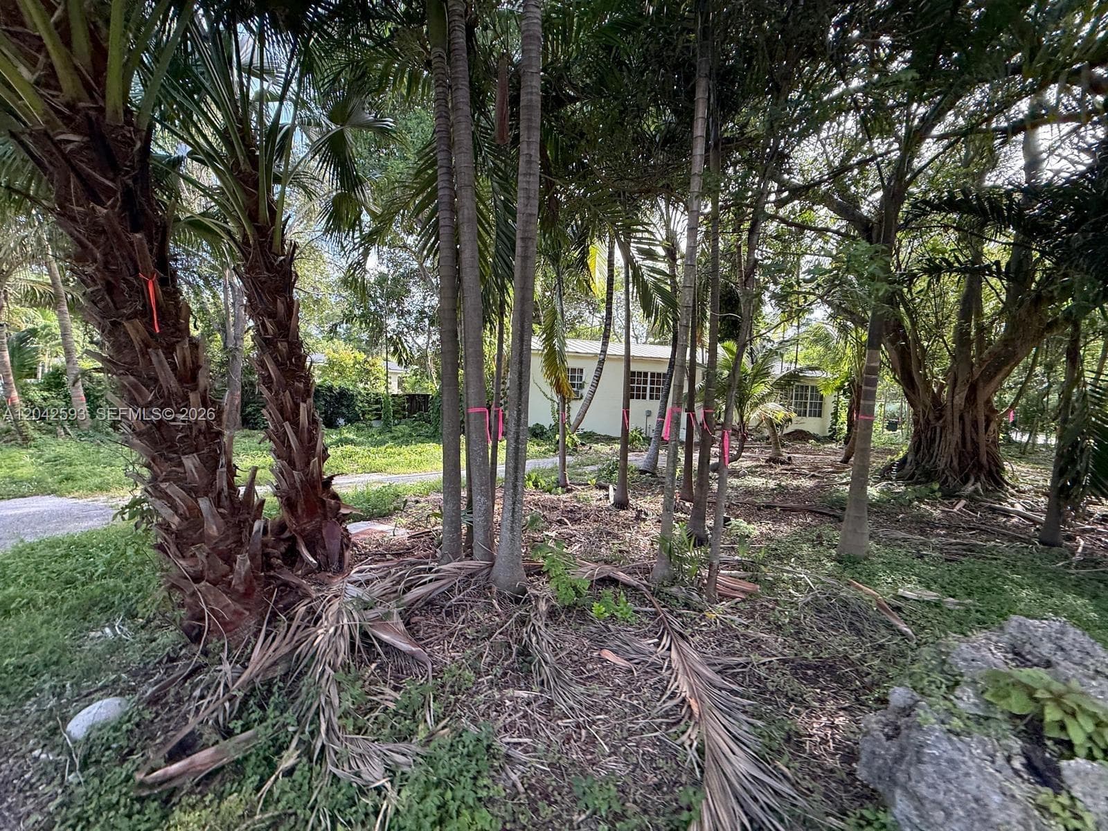 6600 SW 64th Ct, South Miami, FL 33143