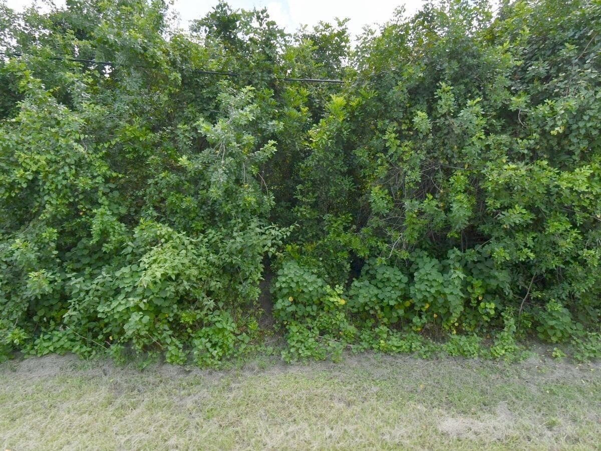 3025 SW COLLINGS Drive, Port St. Lucie, FL 34953