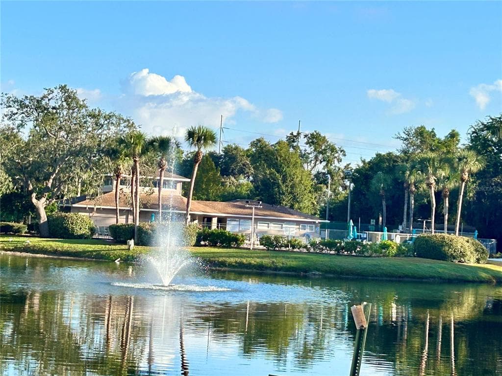 6519 SPRING FLOWER DRIVE # 24, NEW PORT RICHEY, FL 34653
