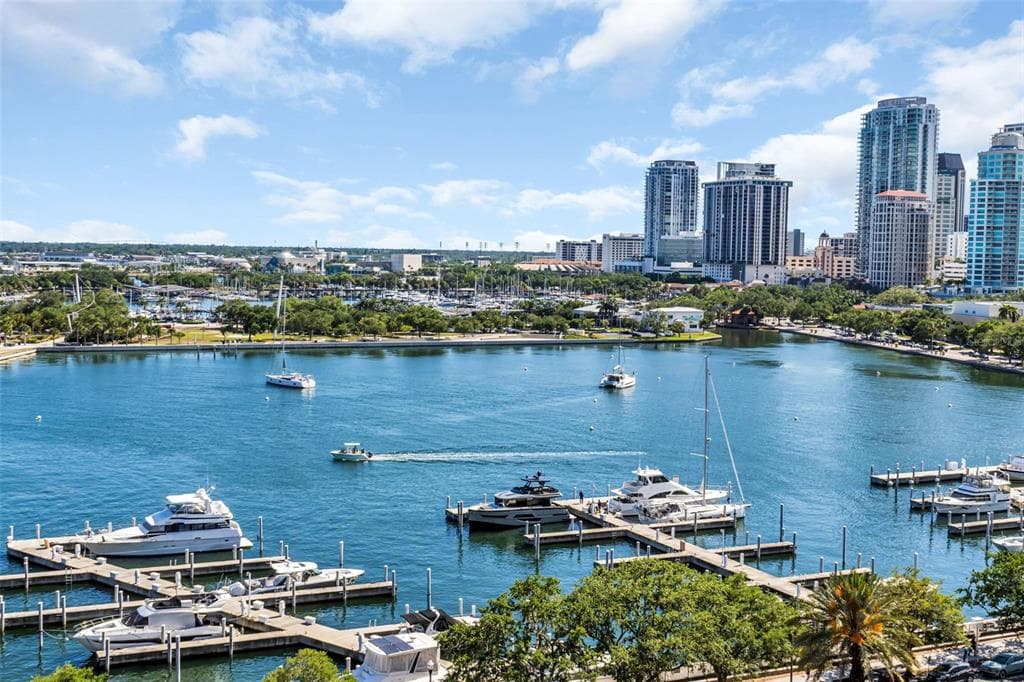 555 5TH AVENUE NE # 1122, ST PETERSBURG, FL 33701