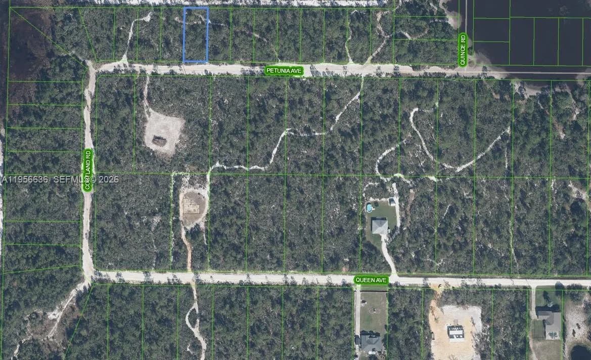 2210 PETUNIA AVE, Sebring, FL 33875