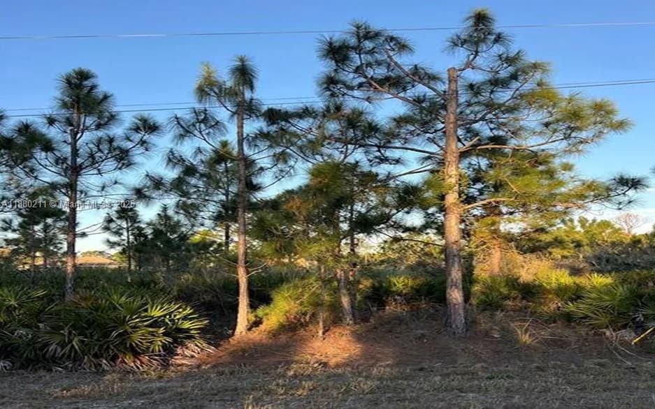 676 Sabrina Ct, Lehigh Acres, FL 33972