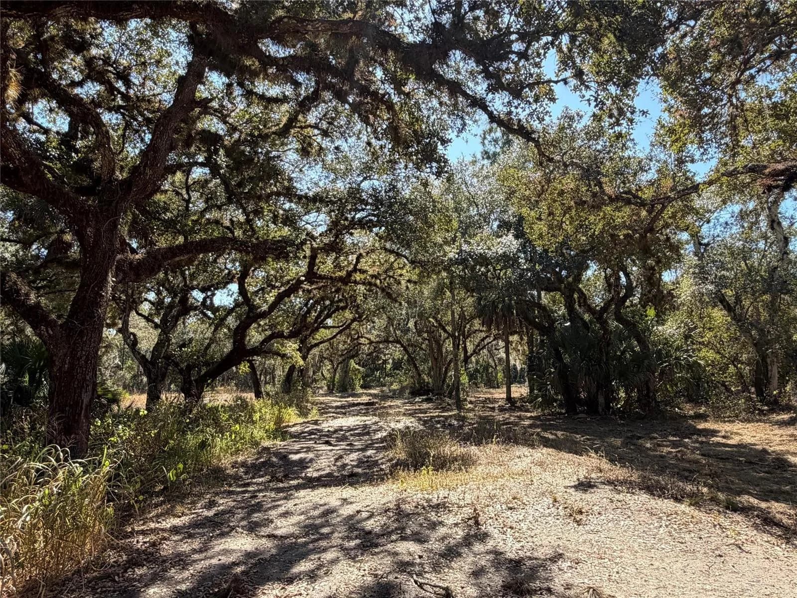 Tbd SE 40th Avenue, Okeechobee, FL 34974